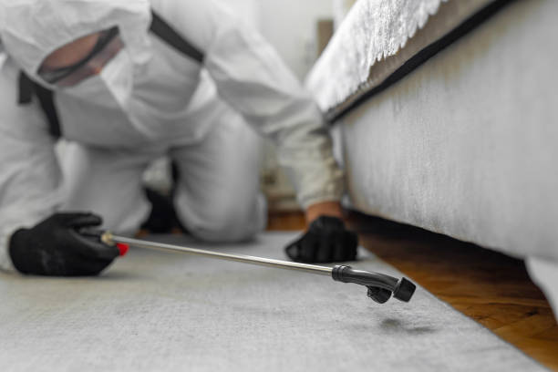 Professional Mosquito Control technician working in Chaffee, MO