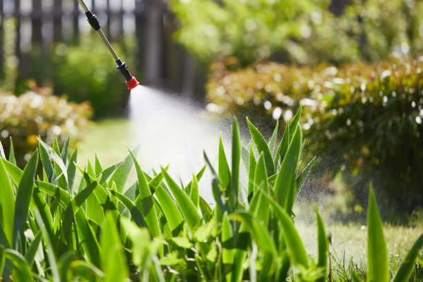 24/7 Emergency Mosquito Control experts in Chaffee, MO